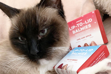 10 must-try veganuary beauty swaps, Moira (the cat) approved